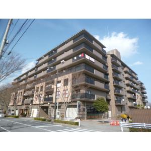 プロシードＣＯ－Ｚ東館（テナント）